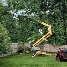 Best Lawn Maintenance Plans  in Round Lake Park, IL
