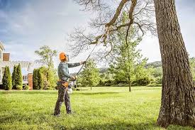 Best Tree and Shrub Care  in Round Lake Park, IL